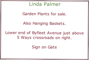 Linda Palmer

Garden Plants for sale.

Also Hanging Baskets.

Lower end of Byfleet Avenue just above
5 Ways crossroads on right.

Sign on Gate